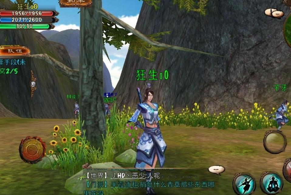 卧虎藏龙2逍遥带什么技能