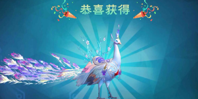 创造与魔法白灵孔雀怎么抓取
