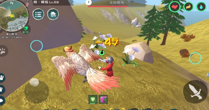 创造与魔法小鸟位置在什么地方