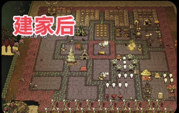 饥荒适合在哪里建家