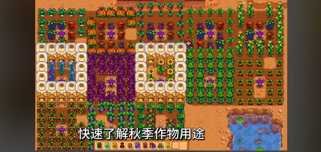 星露谷物语献祭流是什么