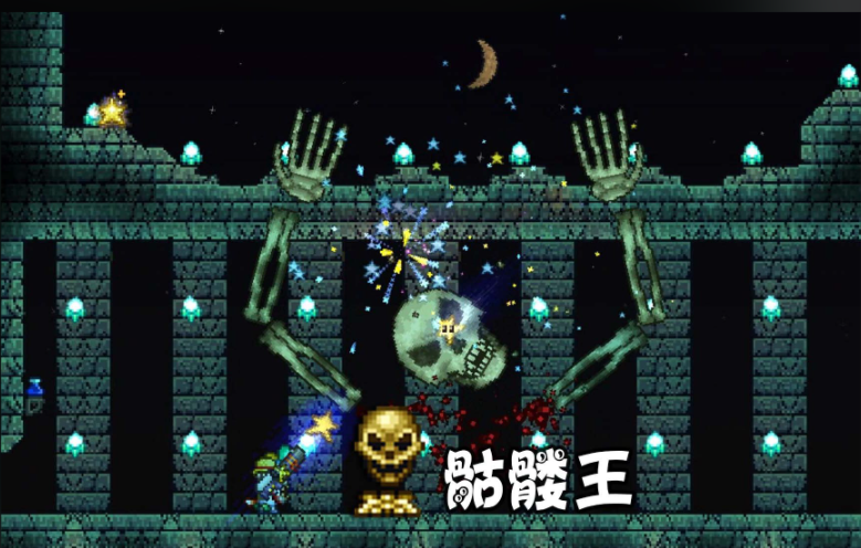 泰拉瑞亚专家骷髅王怎么打