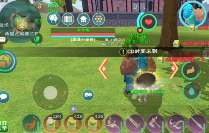 创造与魔法如何抓龟