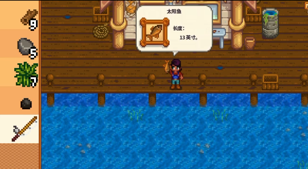 星露谷物语太阳鱼在哪里钓