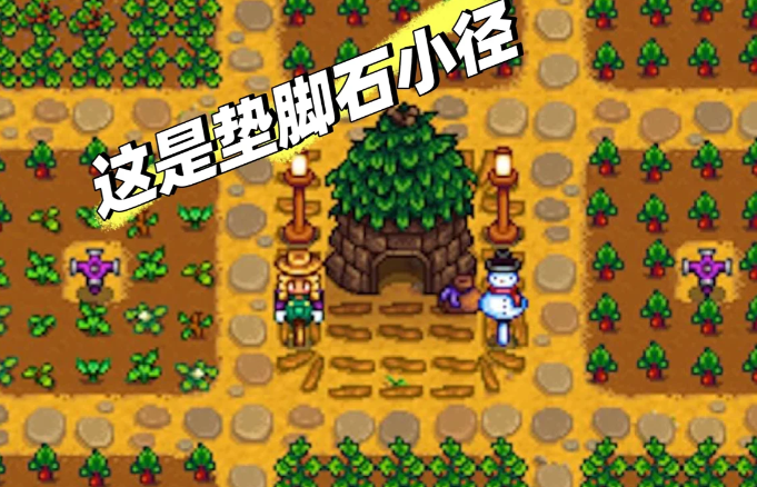 星露谷物语什么路最耐久
