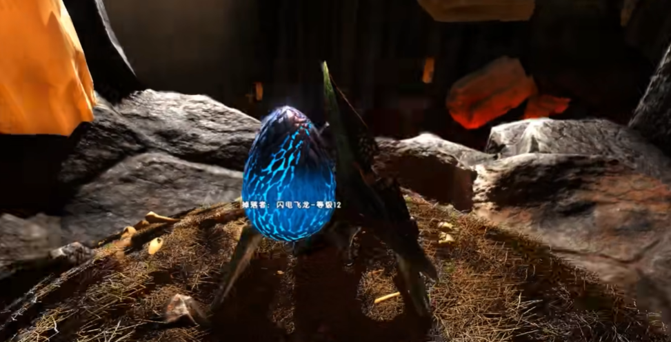 方舟生存进化飞龙哪个好