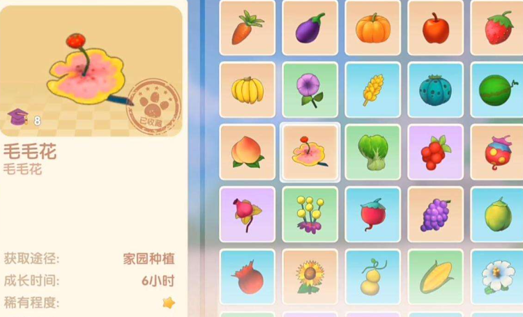 摩尔庄园怎么获取毛毛花 摩尔庄园怎么获取毛毛花