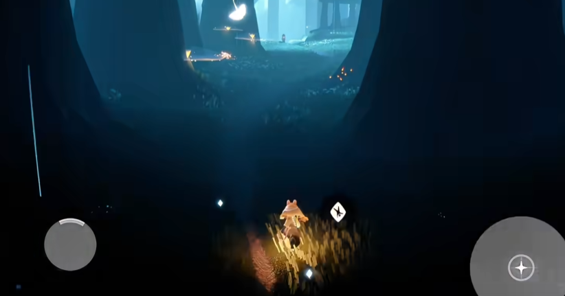 光遇如何通过雨林