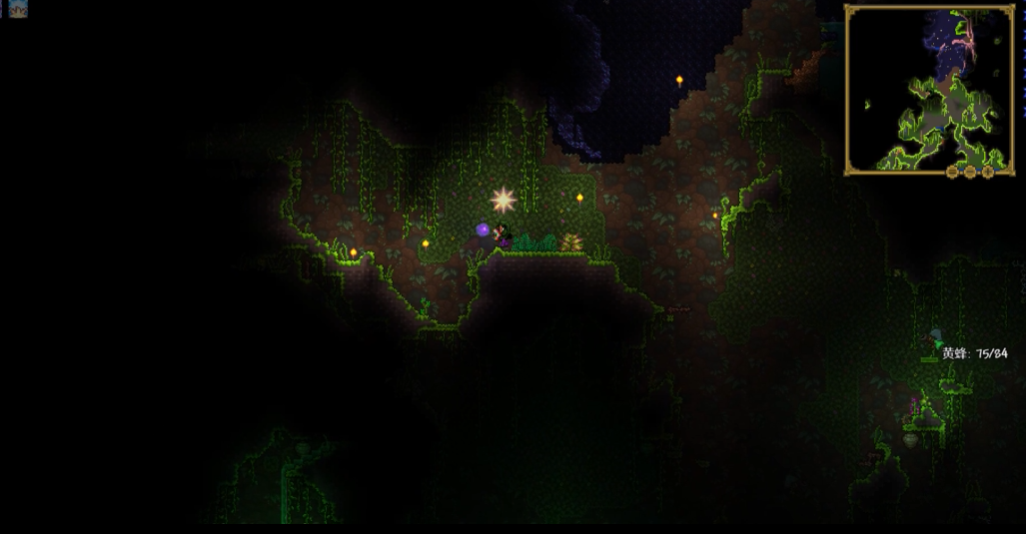 泰拉瑞亚肉山打完该干什么