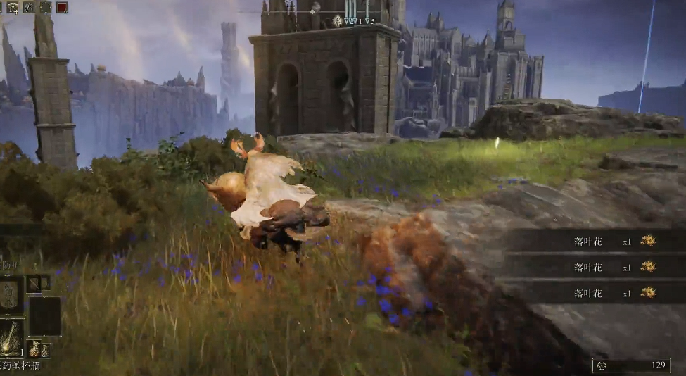 艾尔登法环落叶花哪里多