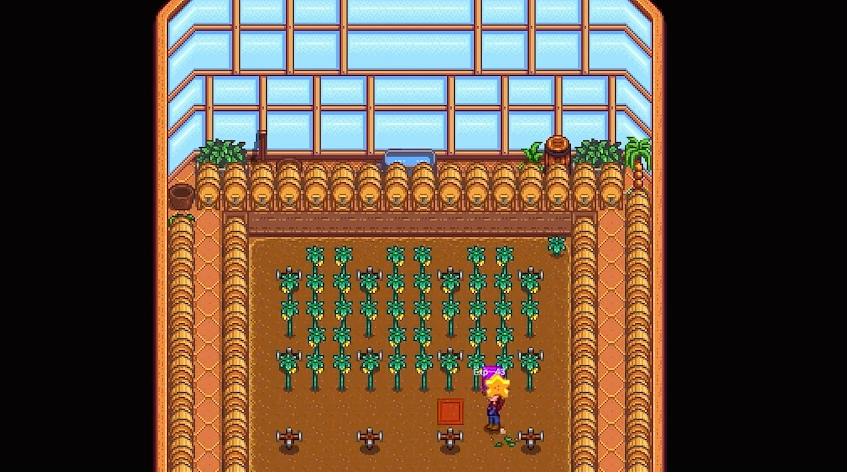 星露谷物语温室种什么好