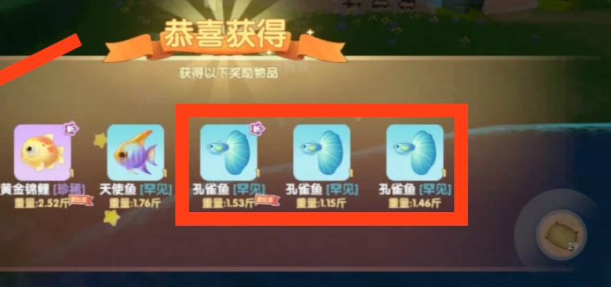 摩尔庄园孔雀鱼怎么获得