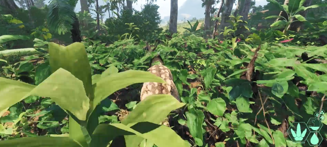 恐龙岛怎么卡石头