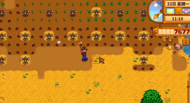 星露谷物语耕种等级怎么升最快 星露谷物语耕种等级怎么升最快