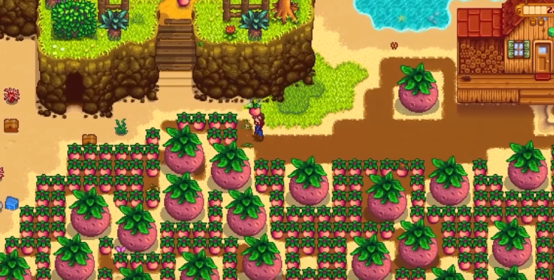 星露谷物语夏天该干什么